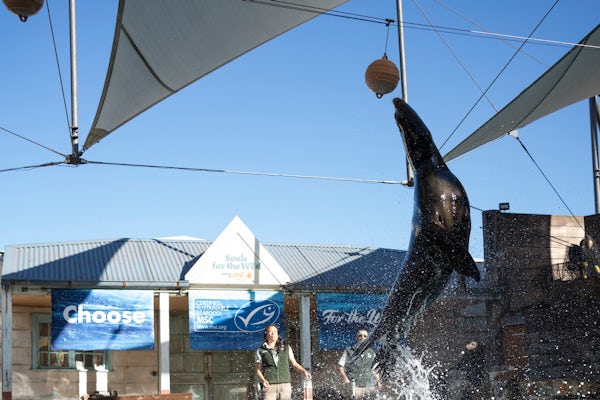 Taronga Zoo - Credit: Destination NSW Family enjoying the seal show at Taronga Zoo